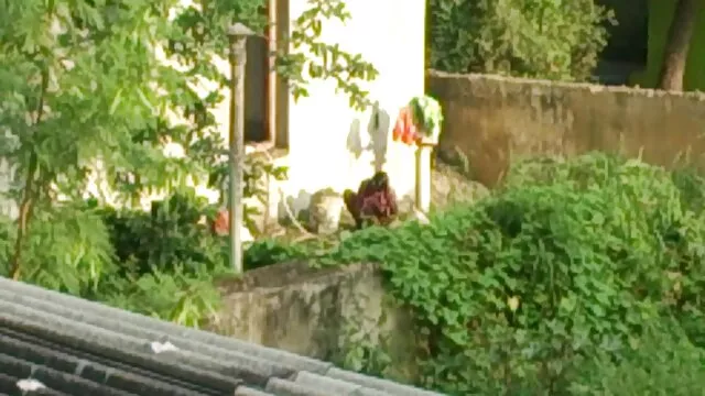 ডগী-স্টাইল, স্বামী ও স্ত্রী বাংলাদেশী xভিডিও