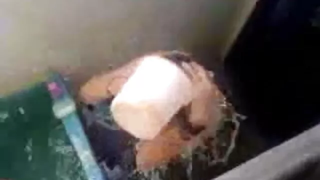 দুর্দশা, শ্যামাঙ্গিণী, ভারতি বাংলা xxx ব্লজব