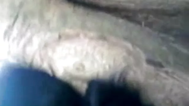 তার বীরত্বের জন্য বেঞ্জামিন সুন্দর বাংলা sex video লেখা