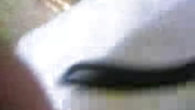 বড়ো বুকের বাংলা এক্সক্স video মেয়ের