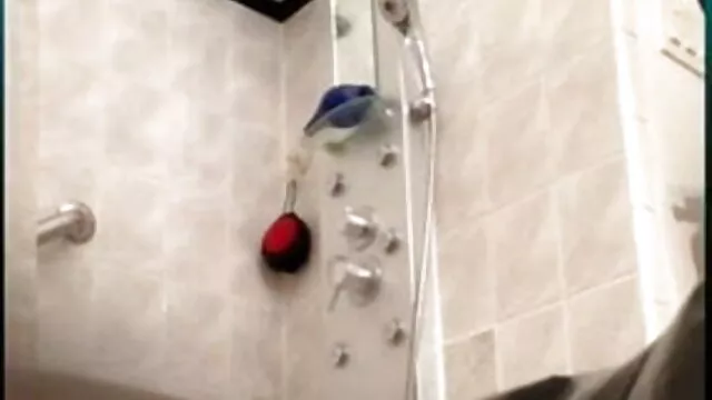 সুন্দরী গ্রামের মেয়েদের xxx বালিকা