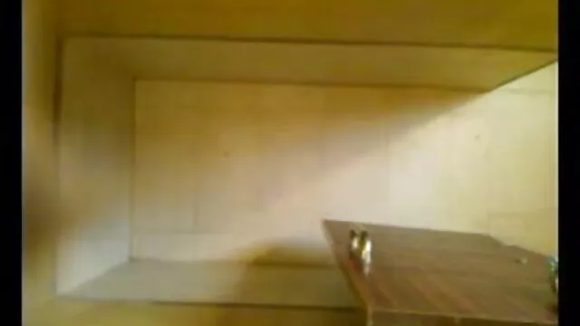 আফ্রিকান আমেরিকানদের / বেডিং পুলিশ আনন্দ যে video xx বাংলা কিছু