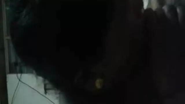 স্বামী ও স্ত্রী বাংলা চুদা xxx