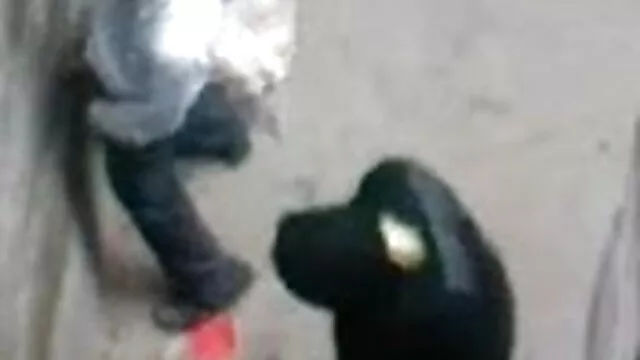ছোট মাই, মাই বাংলা এক্সক্সক্স বিডিও এর,,