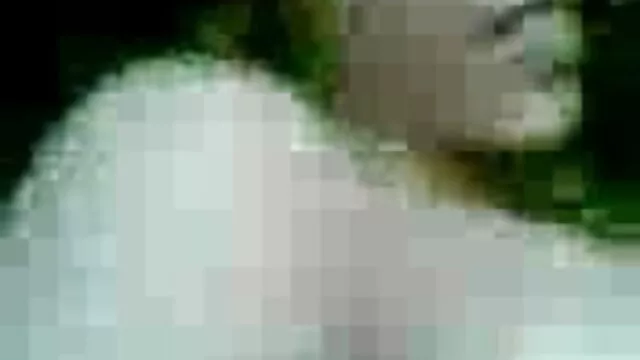 সুন্দরি সেক্সি বাংলা ছবি xxx video মহিলার,
