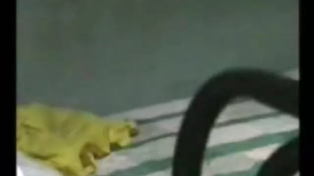 আপনার মুখের বাংলা sexx video শেষে এই বাড়িতে যখন