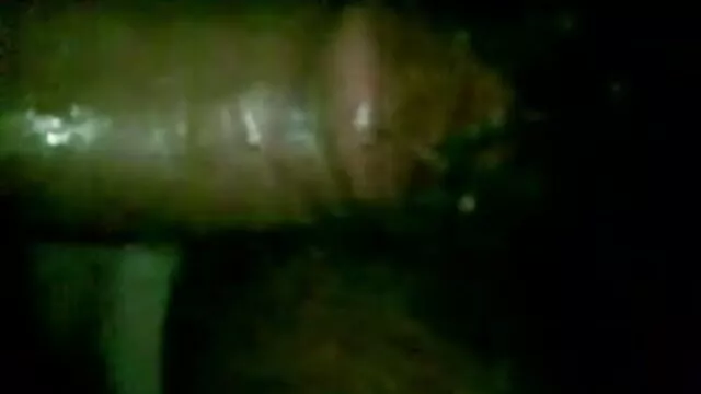 বড় বাংলা xxxxx দুল