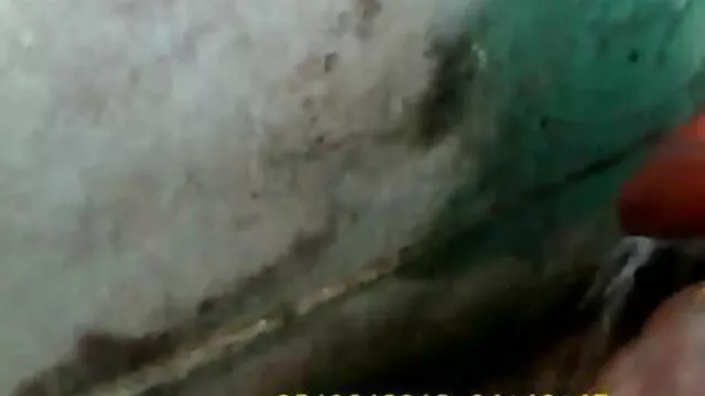 মাই এর, মাই এর কাজের, এক্সক্সক্স বাংলা ব্লজব