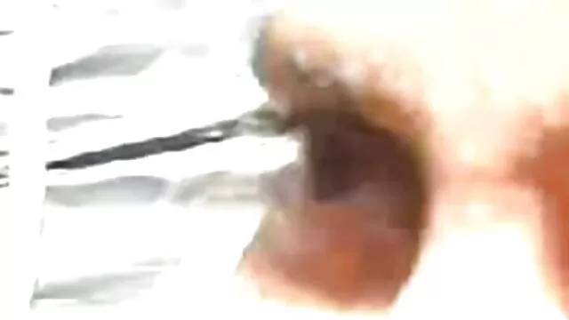 নকল বাংলাx ভিডিও মানুষের, হেনটাই, কার্টুন