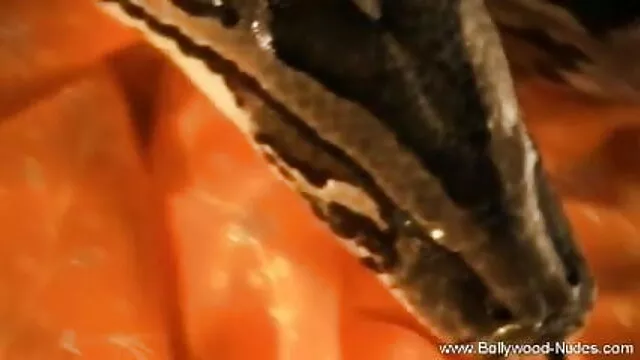 সুন্দরি বাঃলা xxx com সেক্সি মহিলার, পরিণত