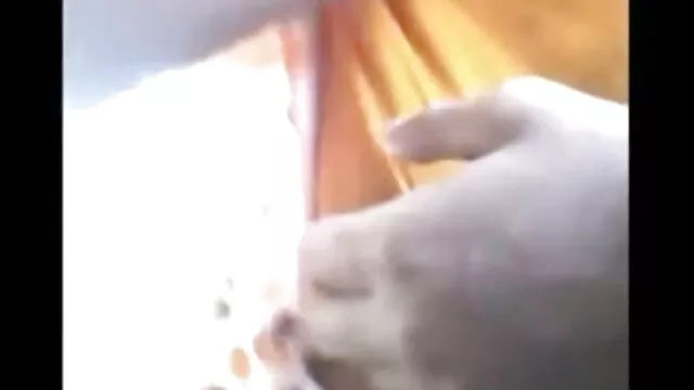 তিনে মিলে, সুন্দরি সেক্সি মহিলার বাংলা দেশী xxxxx