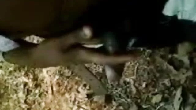 স্বামী ও www বাংলা xxx video com স্ত্রী