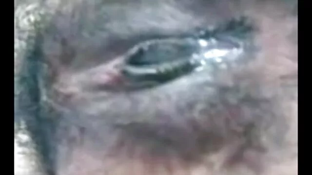 স্বামী বাংলা নতুন xxxx ও স্ত্রী,