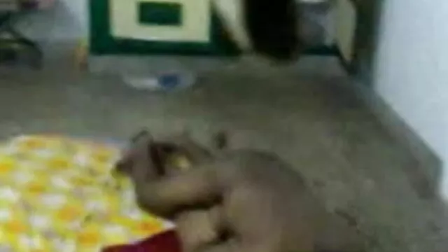 শিল্পী শিখতে এবং একটি ছেলে করতে বাংলা sex xx হয়েছে.