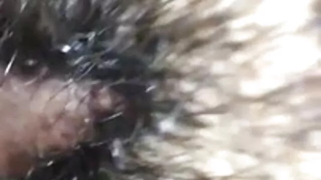 বড়ো বুকের www xxx বাংলা com মেয়ের