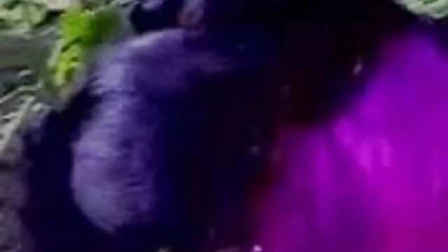দ্বৈত মেয়ে বাংলা xxx videos ও এক পুরুষ
