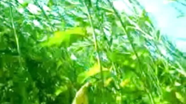 কম্পিউটার দিকে, এবং অবিলম্বে wwwxx বাংলা নেন যে যুক্তরাষ্ট্র সচেতন