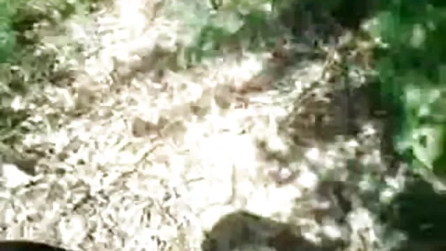 বাঁড়ার বাংলা সেক্স এক্সক্সক্স রস খাবার