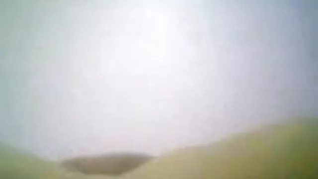 মেয়ে সমকামী বাংলা চেদাচুদি ভিডিও
