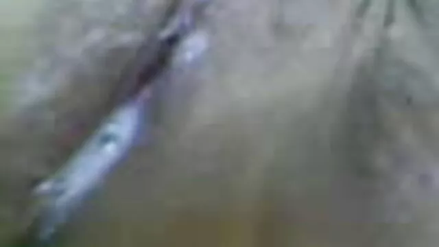 সুন্দরি বাংলাদেশি xxxxx সেক্সি মহিলার,