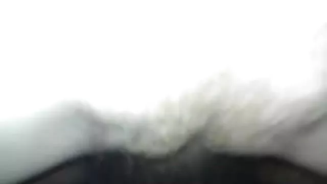 জাপানি, এশিয়ান, বাংলা xxxi