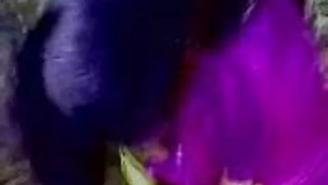 বড়ো মাই, বড়ো মাই, সুন্দরী xxx বাংলা video বালিকা